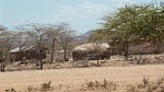 Krajina Laisamis to Marsabit Kenya 2012 Kazungu P1030773.jpg